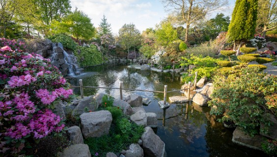 Zen Garden